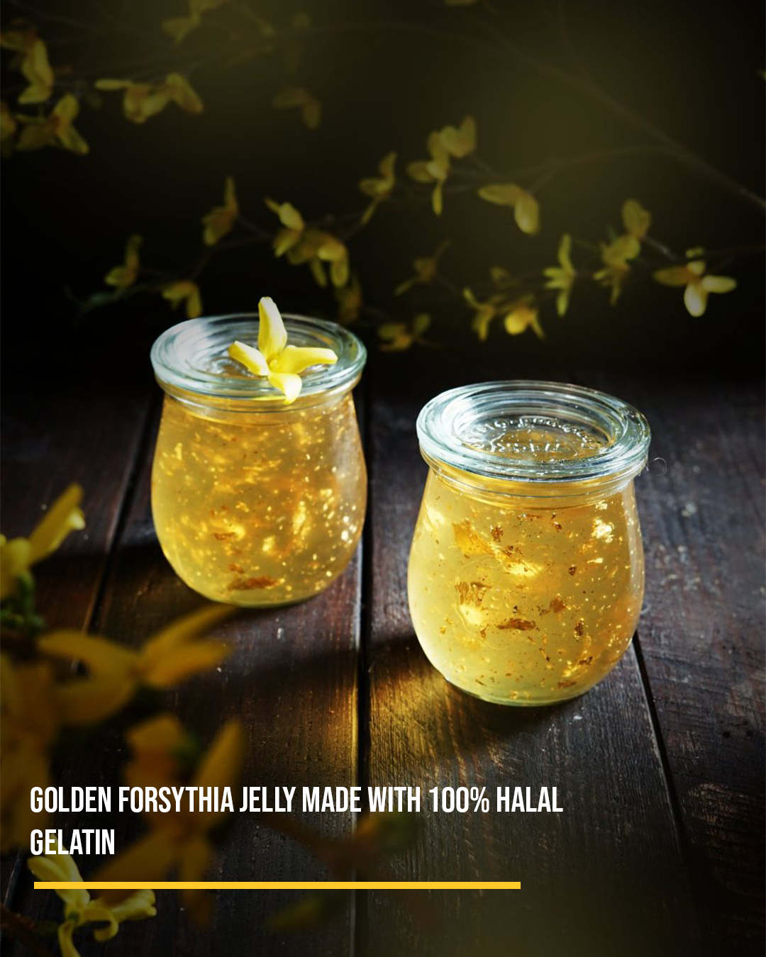 Golden Forsythia Jelly Made with 100% Halal Gelatin by Gelito